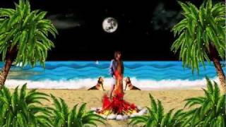 Bumblebeez - Summer Bum- Official Video