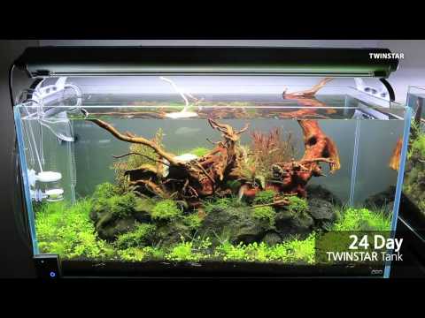 comment augmenter eclairage aquarium