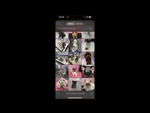 LuxPet Boutique video thumbnail