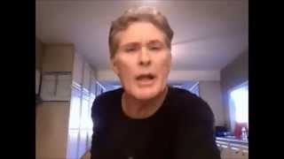 PPQ - MSG de David Hasselhoff Para Ricardo Matos