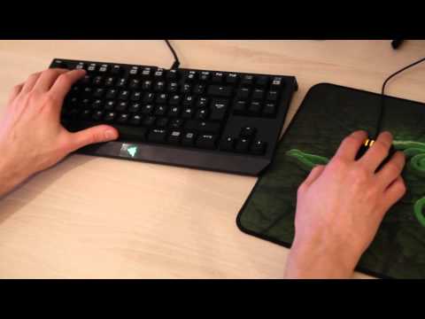 Starcraft-Spieler Tobias Sieber über seinen Job