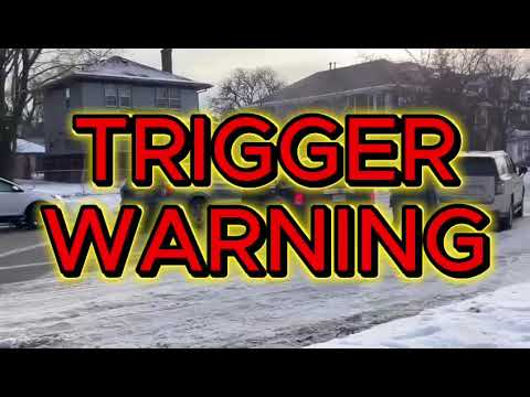 Minnesota woman shot and killed by ICE. TRIGGER WARNING. 