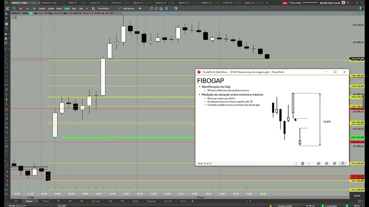 Fibogap - dia 28/8
