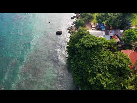 11 HOURS Stunning 4K Underwater footage + Music | Nature Relaxation™ Rare & Colorful Sea Life Video