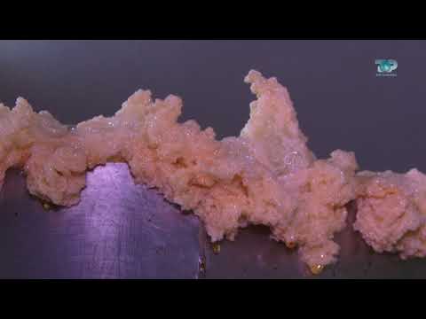 Ne Shtepine Tone, 23 Nentor 2017, Pjesa 2 - Prodhimi i birrës artizanale