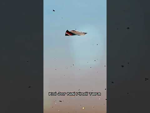 Basant Kite Festival 2023 |The Best of the Best Basant Videos | Patang Bazi | big Kite Flying |