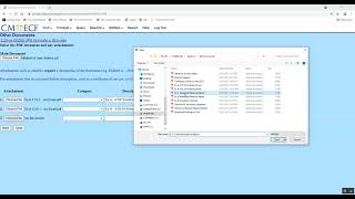 Video Tutorial - CM\ECF Attachments to Documents