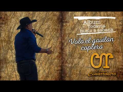 Volo el Gavilan coplero - Carlos Rico - Audio