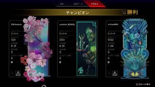 自分用113