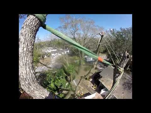 Rigging limbs big using span rigging