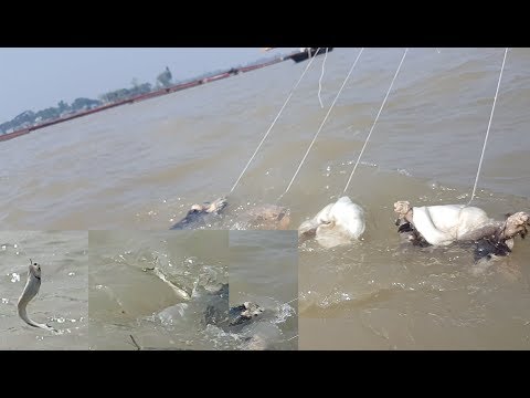 Can You Believe This Fishing? Unique & Fastest Way Of Trapping Tiny Fish From River | Fish Catching