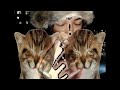 Che DONT TELL NO1 Edit