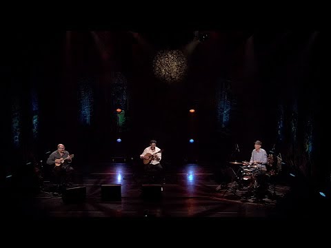 Wallace Oliveira | Carioquinha (Waldir Azevedo) | Instrumental Sesc Brasil