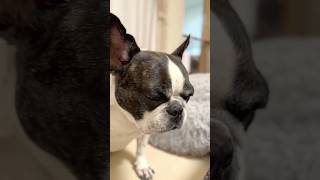 眠気には勝てないフレブル