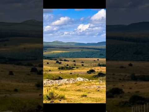 Paraje Ladrillos: cuando un nombre sencillo guarda la memoria de un territorio