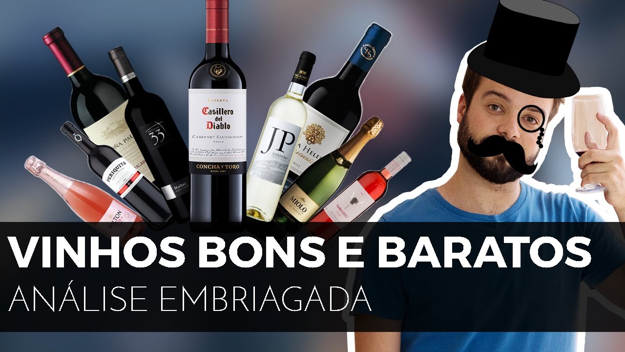 #17 vinhos bons e baratos | Cabernet, Merlot, Espumante, Branco, Tinto e ++