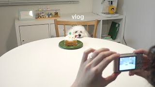 何気ない毎日に犬という花が咲く | 二人暮らし