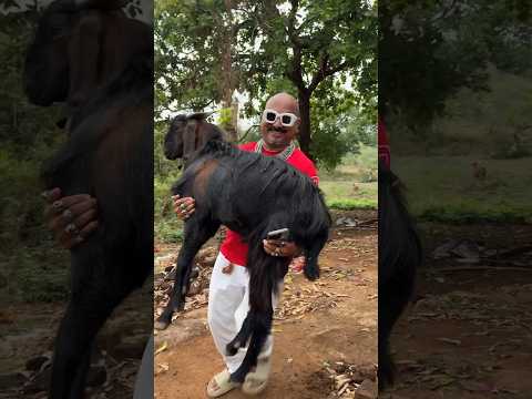 20kg ka bakra leke bhag gaya mai….👑🍗 #chickenlegpiece #ulhaskamthe #muttonrecipes #foodie #shorts