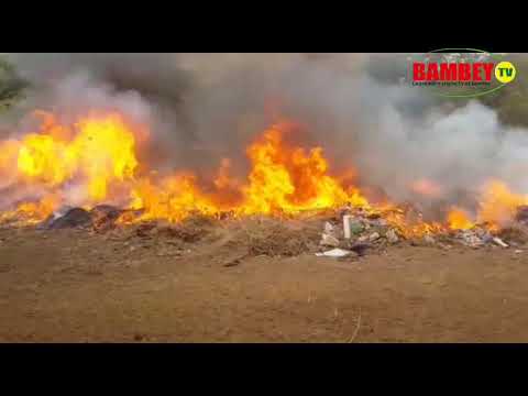 download lagu mp3 mp4 Universit Alioune Diop De Bambey, download lagu Universit Alioune Diop De Bambey gratis, unduh video klip Universit Alioune Diop De Bambey