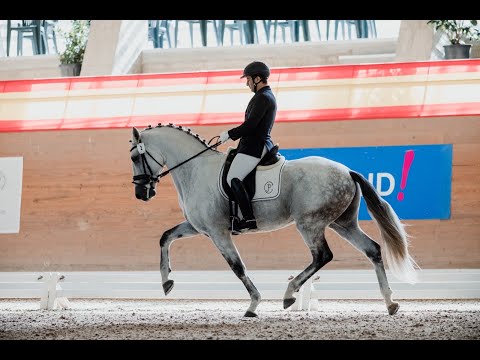 Eloi Morgado & Lizarran -  CDIYH Madrid 2021 - best off