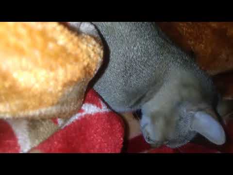 ye kon he 😬😵😳