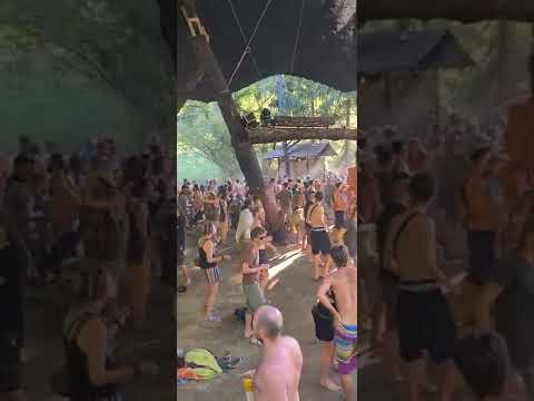 swamp stage modem fest