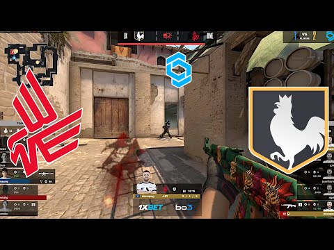 BAD NEWS EAGLES vs LOS KOGUTOS - CCT EAST EUROPE - HIGHLIGHTS