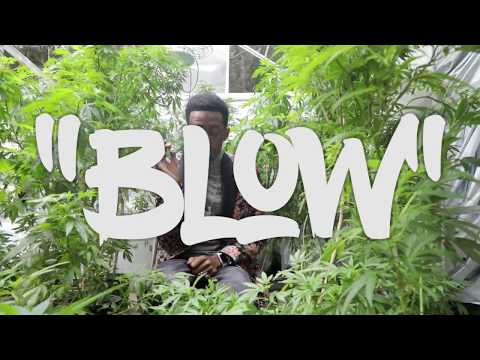 BLOW (OFFICIAL VIDEO) - Dew Baby [Presented By DJ VA Vicious]