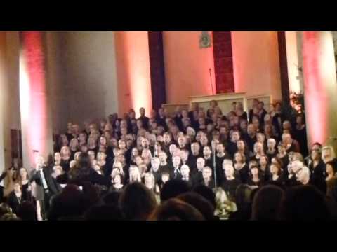 Göteborgs Gospels & Björn Hedström - I'll Be There - Annedalskyrkan Göteborg 2014-11-28