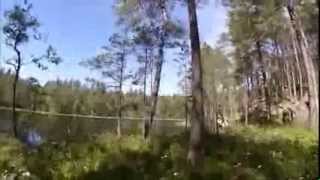 preview picture of video 'Schweden Urlaub 2013 - 13  Nationalpark Norra Kvills'
