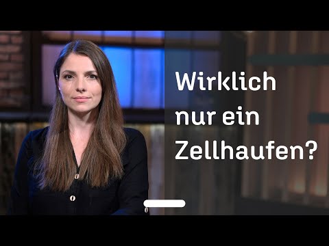 Tabuthema Abtreibung: Eine sachlicher Diskurs über ein emotionales Streitthema
