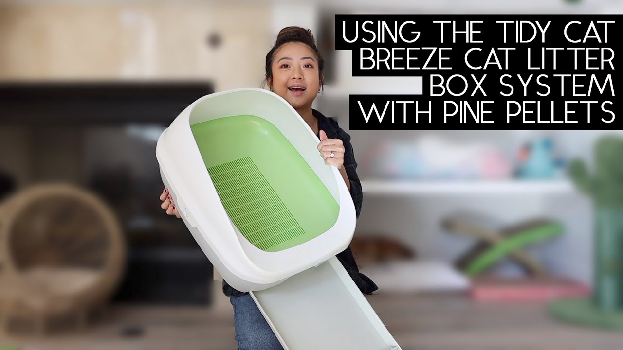 Watch video TIDY CAT BREEZE LITTER BOX SYSTEM WITH PINE PELLET REVIEW | SVEN AND ROBBIE Now TIDY CAT BREEZE LITTER BOX SYSTEM WITH PINE PELLET REVIEW | SVEN AND ROBBIE