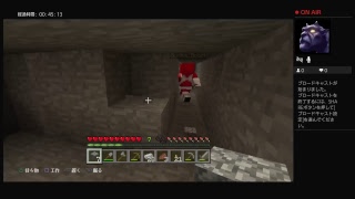 初マイクラ