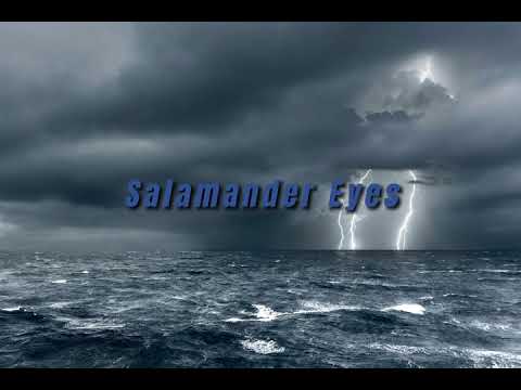 Salamander Eyes Extended but theres a thunderstorm outside | Fantastic Beasts