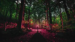 Kiiara - Feels (AWAY Remix)
