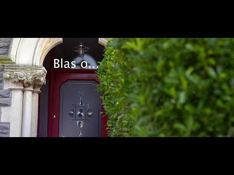 BLAS O...ADRE: CEGIN CARWYN JONES