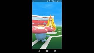 フローゼル ポケットモンスター アゲハント ミツハニー エネコ