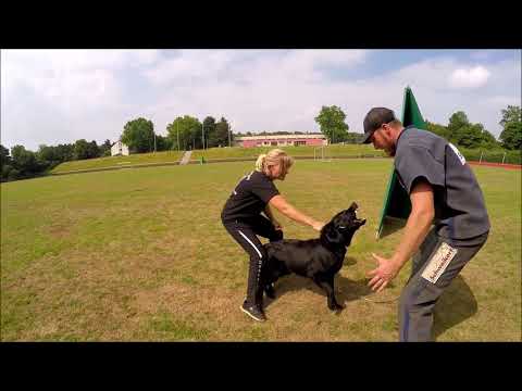 Bazooka von Pike´s Spirit Protection 2018