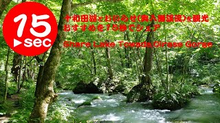 十和田湖とおいらせ（奥入瀬渓流）を【1日】観光！15秒でシェア。Share Lake Towada ,Oirase Gorge Attractions in 15seconds,Aomori
