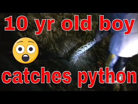 YouTube Video wa_t2jdVAxQ