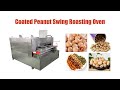 Coated Peanut Swing Roasting Oven Flour Coated Peanut Processing Machine