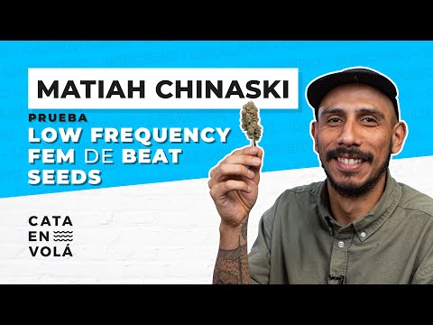 MATIAH CHINASKI EN CATA EN VOLÁ