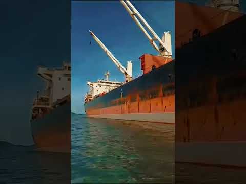 Ponta do Félix — Navio Atracado no Porto de Antonina! Que Vista Incrível! 🚢⚓🌊