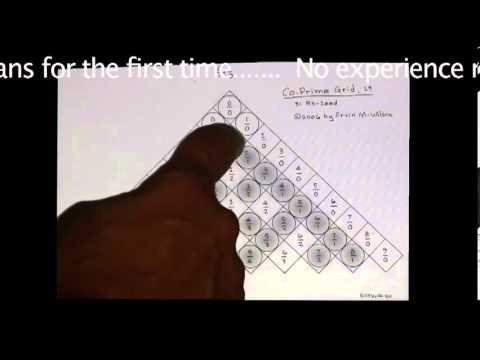 Marcus Satellite's Erv Wilson iPhone/iPad App: "Wilsonic"