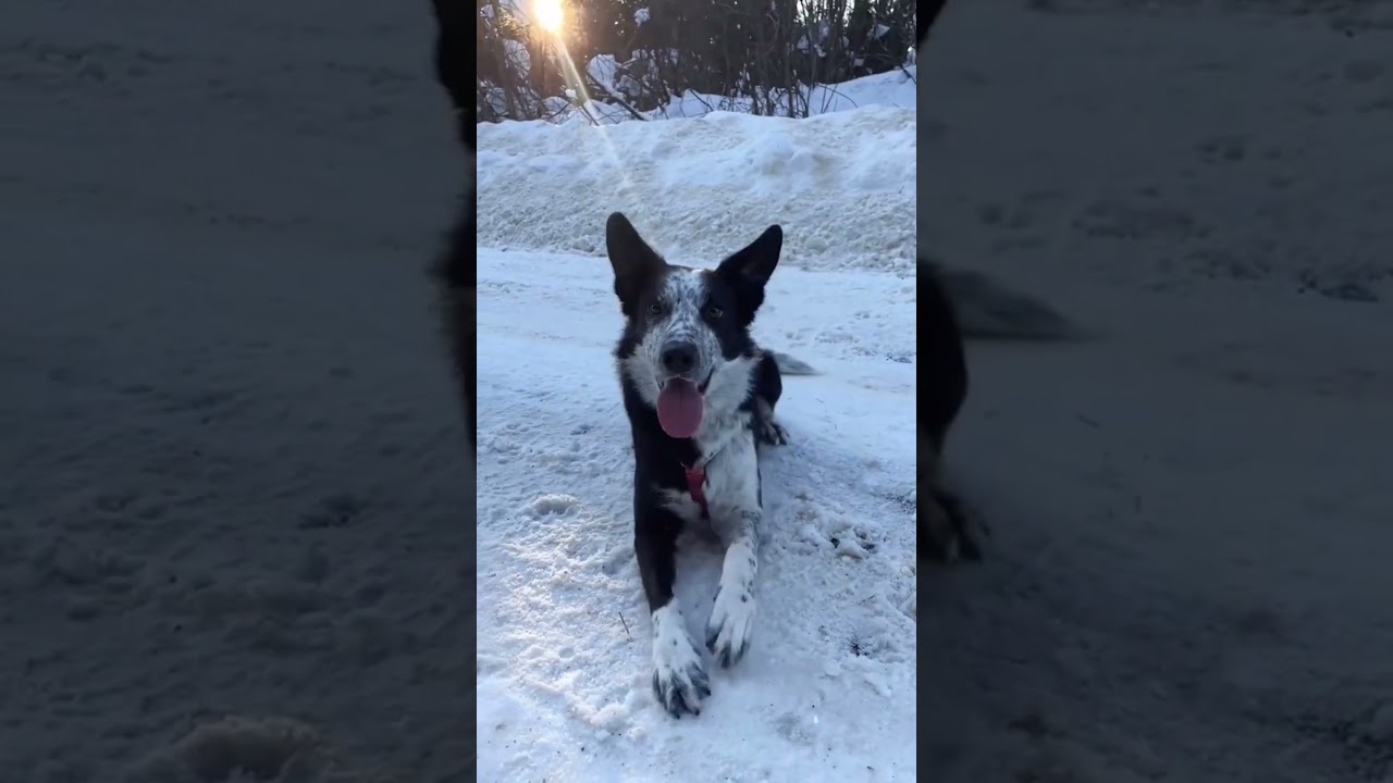 ��������� ����� �� ����� - ��� ������ ����