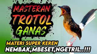 Download lagu Full kasar ngeri !! MASTERAN MURAI BATU TROTOL FULL TEMBAKAN KASAR‼️ mp3