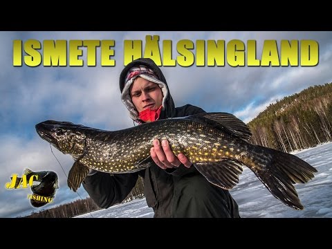 Ismete i Hälsingland med JACFishingTeam