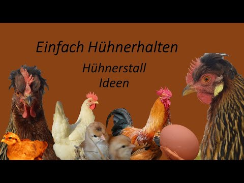 Hühner halten Teil 3 Hühnerstall Ideen! Hühnerstall Tipps und Tricks! Hühnerstall bauen!