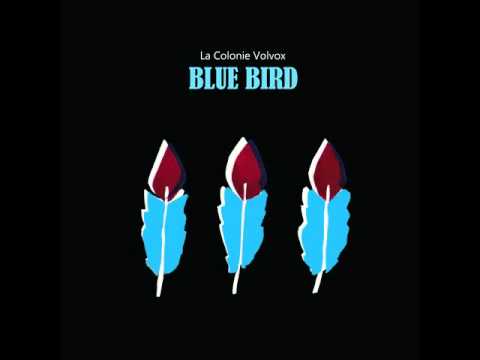 La Colonie Volvox - Blue Bird (Full Album) EGoEast records 2015