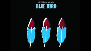 La Colonie Volvox - Blue Bird (Full Album) EGoEast records 2015